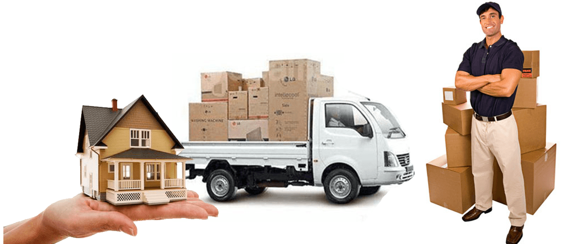 Kaneo Pro Movers team at work